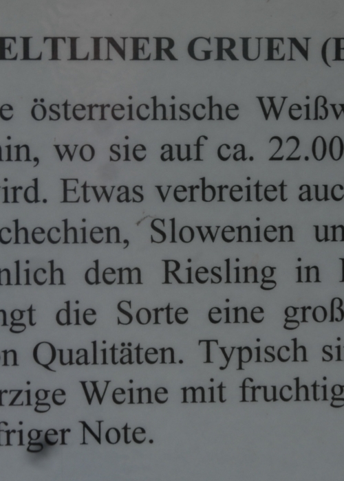 Gruener Veltliner ANT 0668